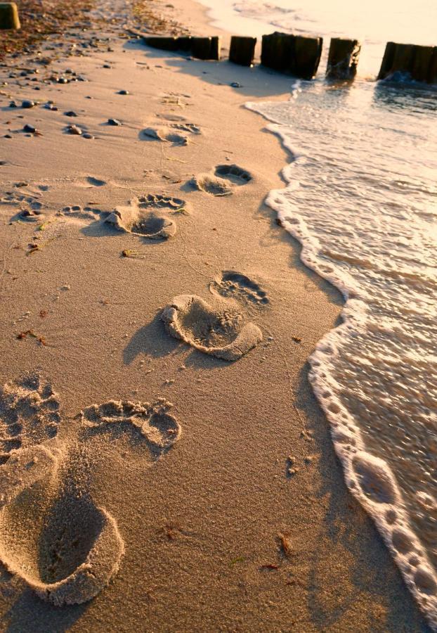 Ferienwohnung Strandurlaub Börgerende-Rethwisch Kültér fotó